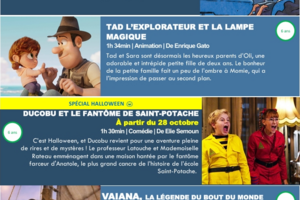 Image du sondage