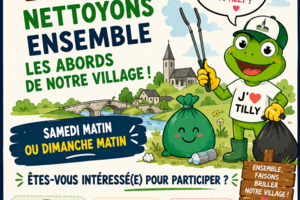 Image du sondage