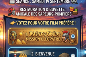 Image du sondage