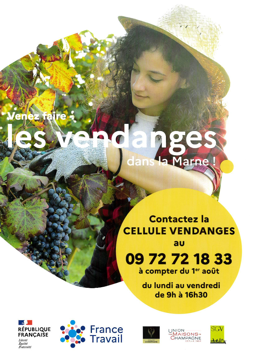 Vendanges 2024