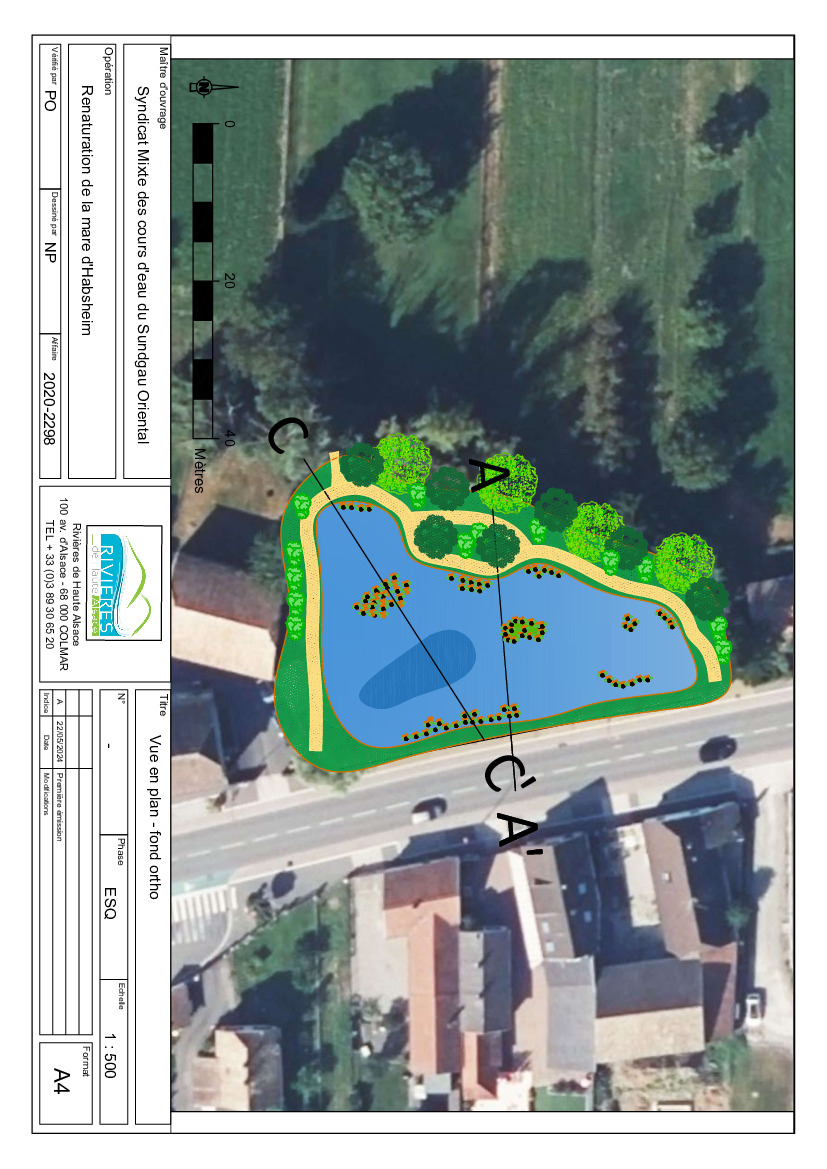 ? Renaturation de l’étang du Muhlbach, dès le 19 août !