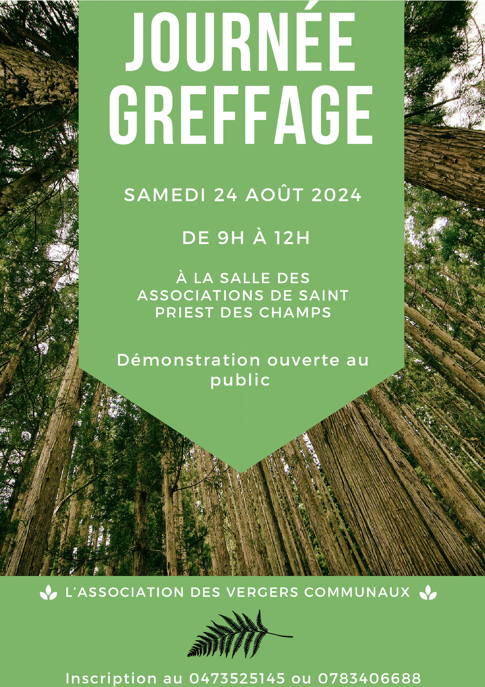 ?Découverte du greffage ? - Les Vergers communaux