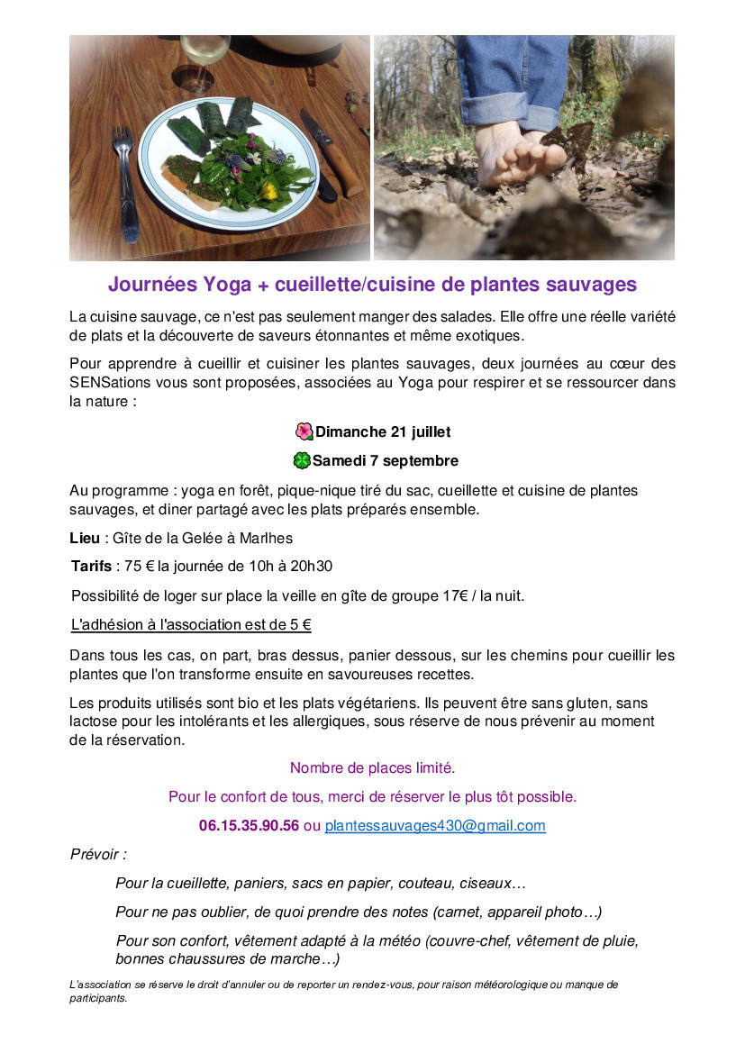 Journées Yoga et cueillette/cuisine de plantes sauvages