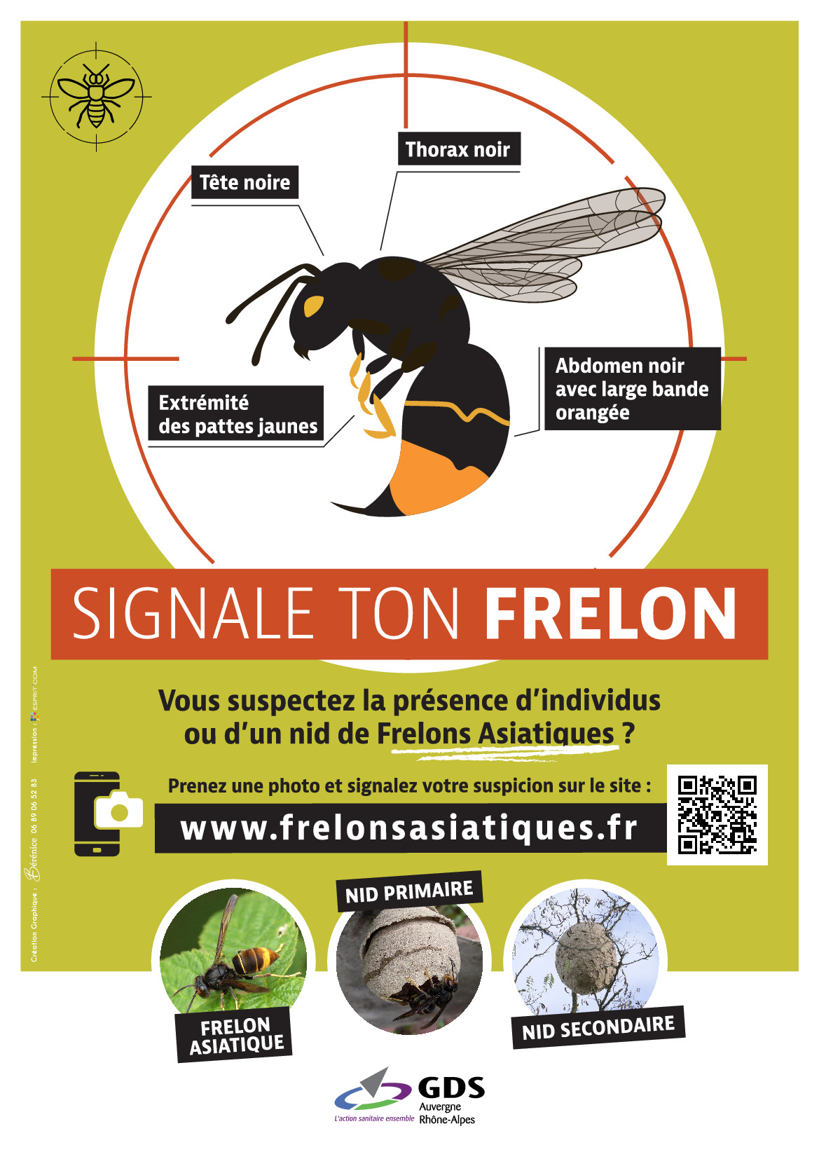 FRELON ASIATIQUE ET RECHERCHE DE NIDS