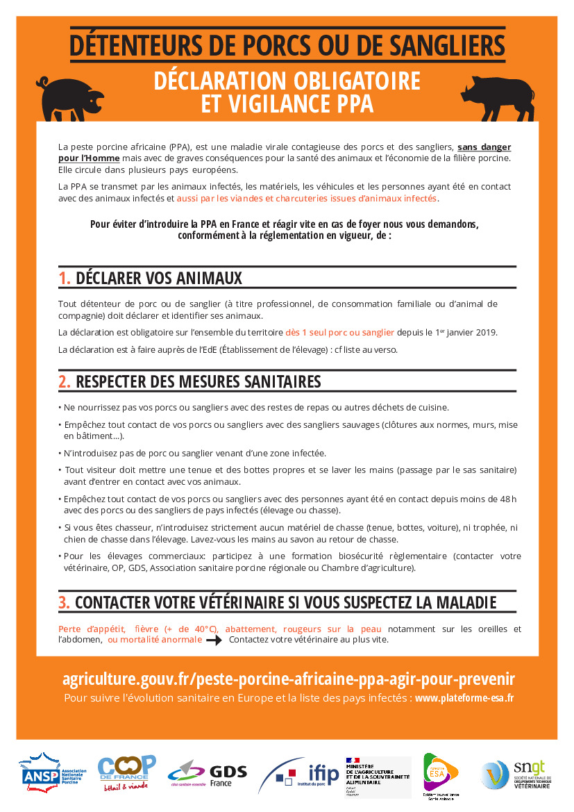 SERVICES VÉTÉRINAIRES