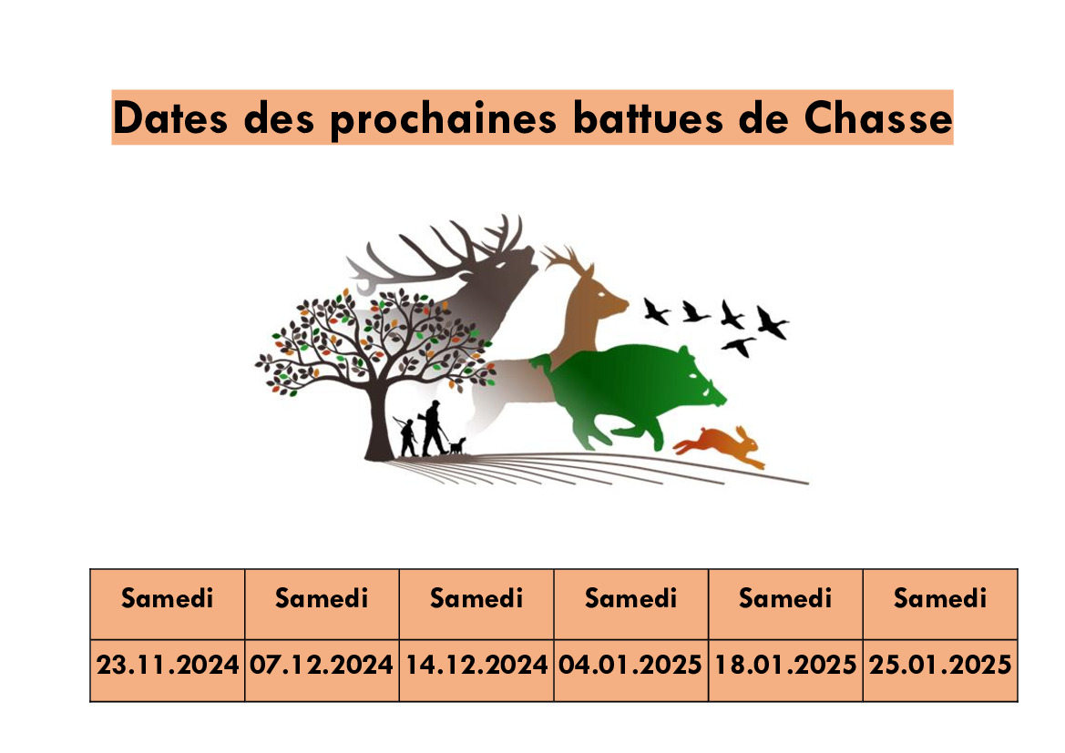 Dates des prochaines battues de Chasse