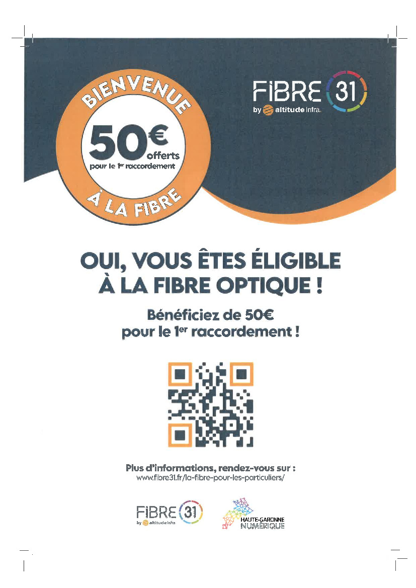 FIBRE 31 - RACCORDEMENT FIBRE OPTIQUE