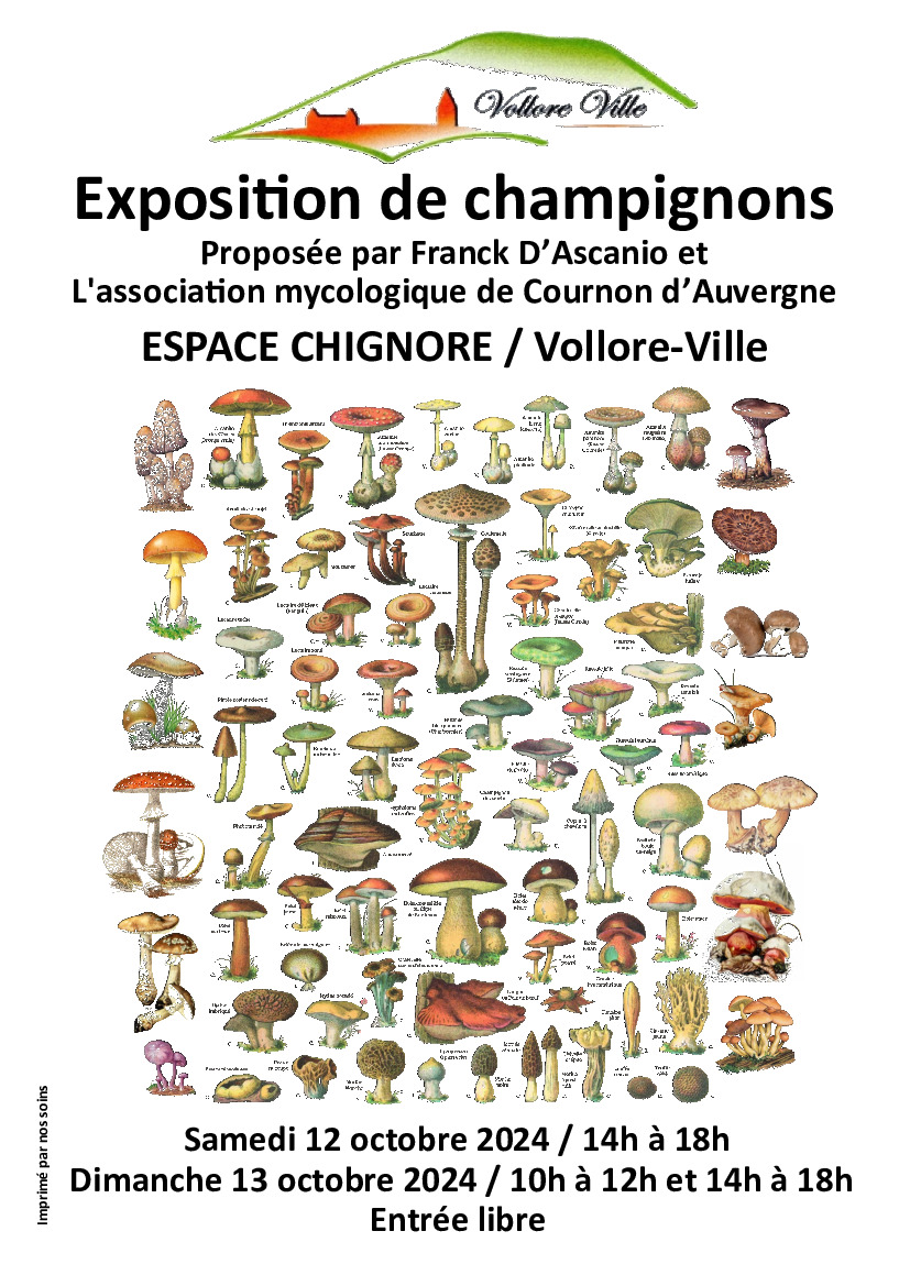 EXPOSITION CHAMPIGNONS