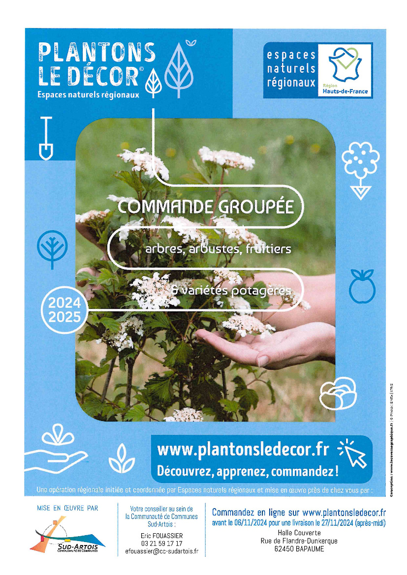 PLANTONS LE DÉCOR