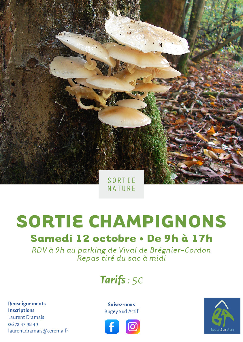 Sortie champignons le 12 octobre