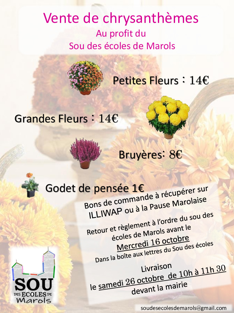 Vente de chrysanthèmes