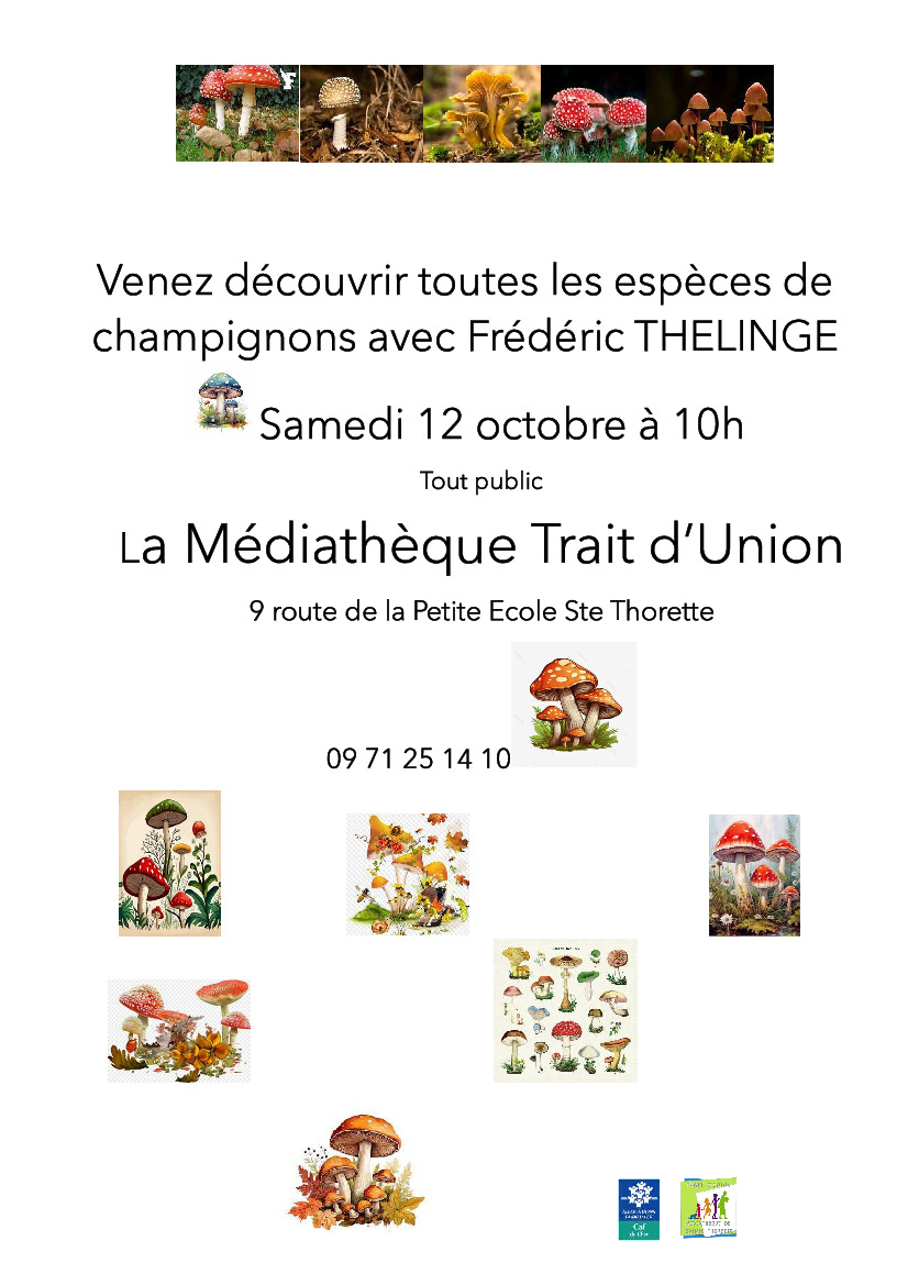 Médiathèque Trait d'Union