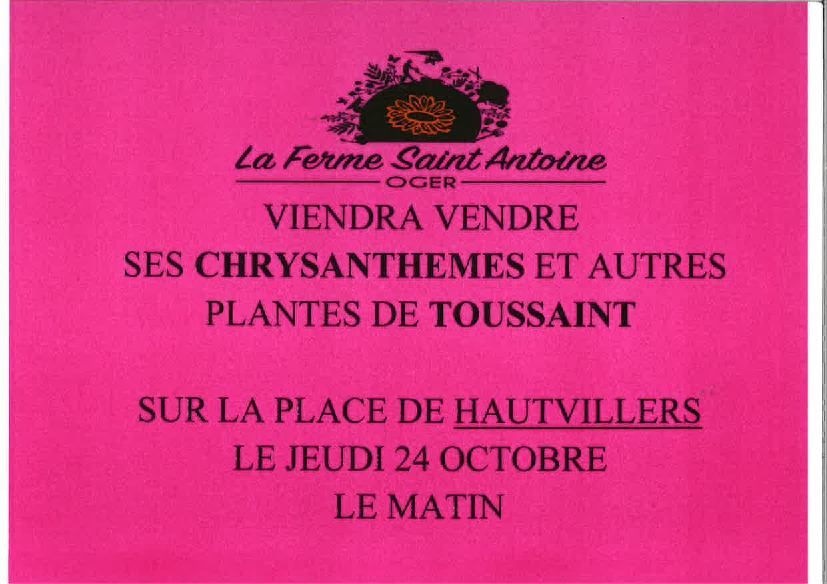 VENTE DE CHRYSANTHEMES DE LA FERME SAINT- ANTOINE