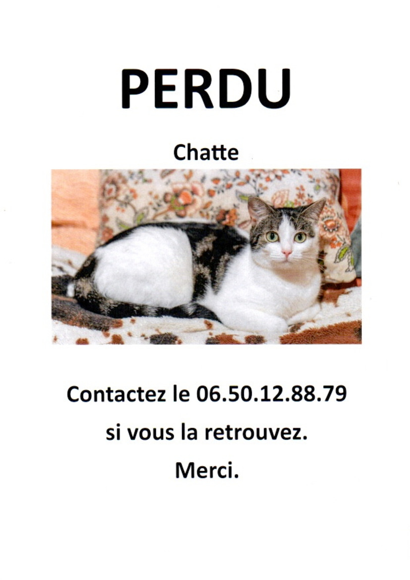 AVIS DE RECHERCHE