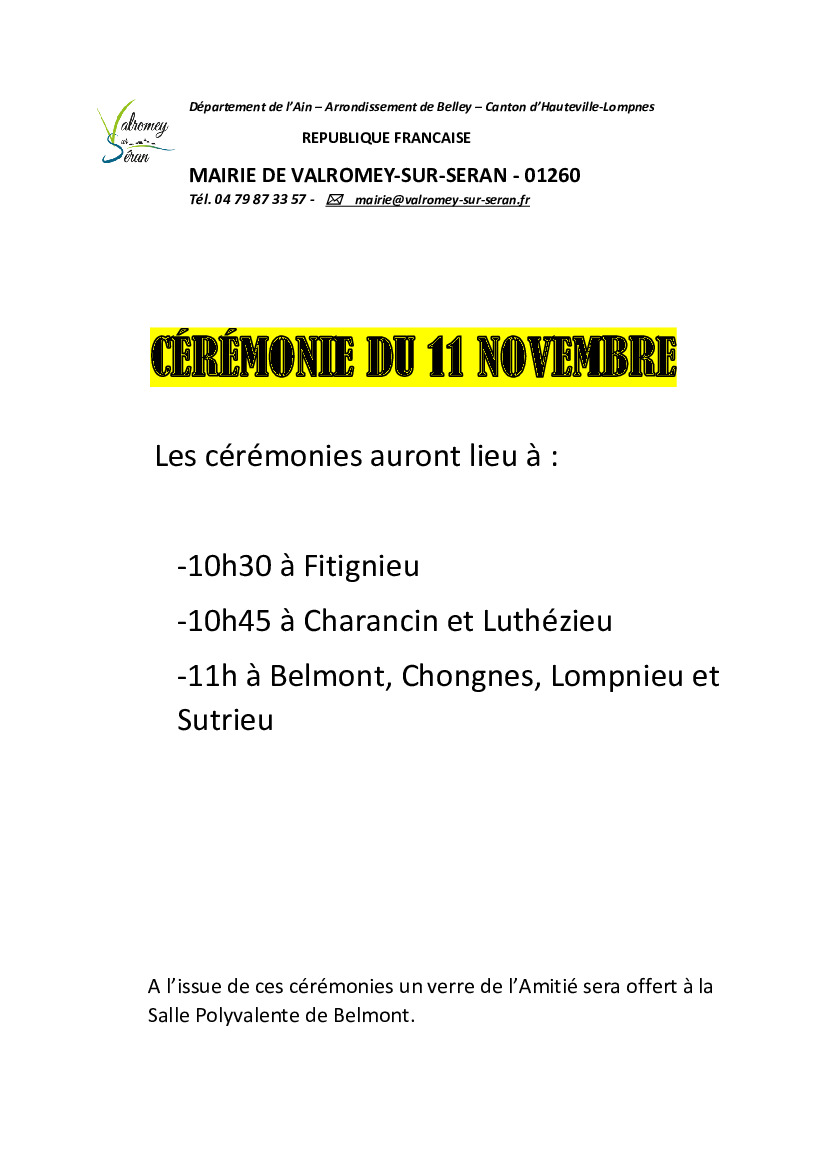 Cérémonies commémoratives 11 novembre