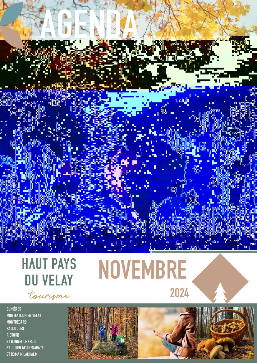 ANIMATIONS NOVEMBRE 🍂