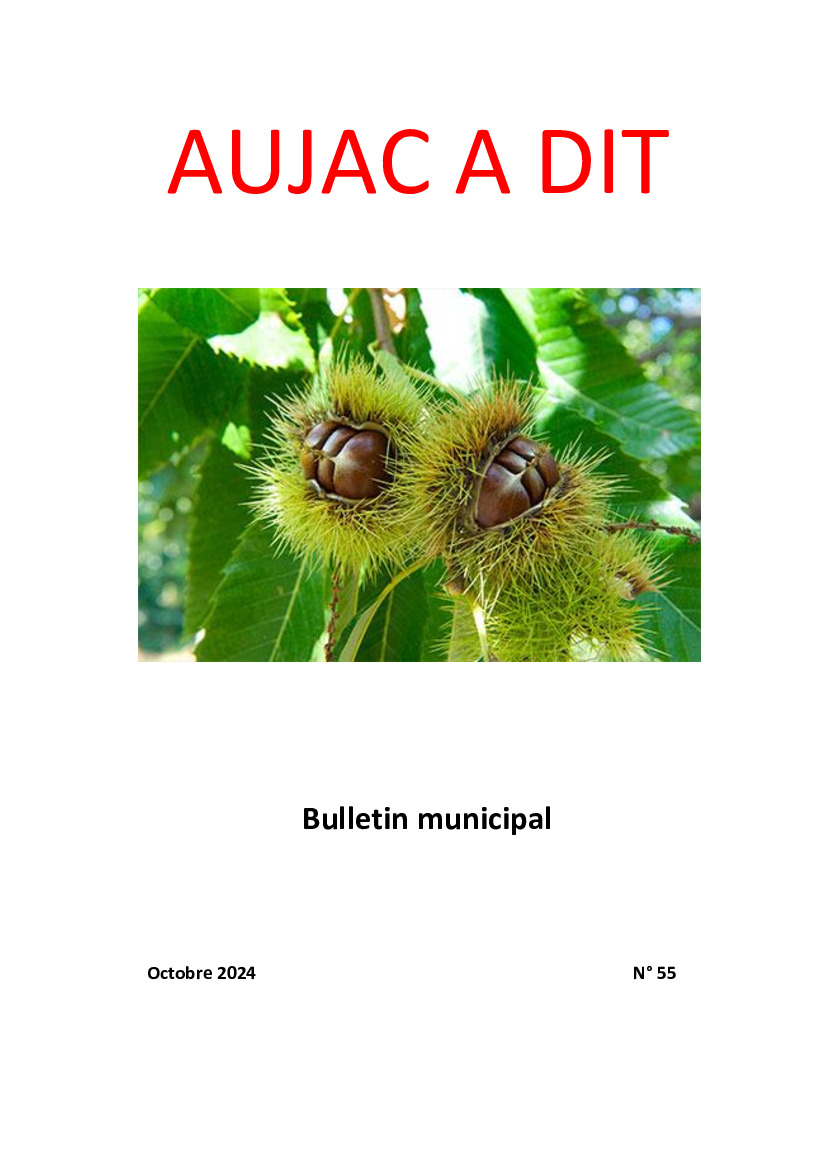 Bulletin municipal d'octobre 2024