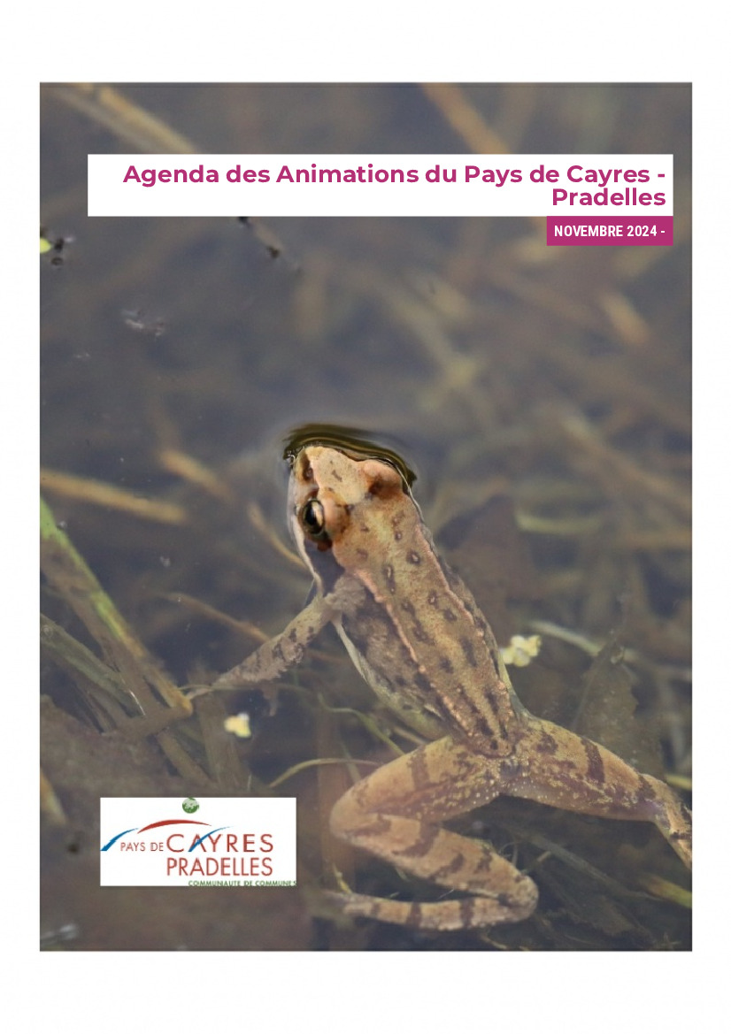 [AGENDA DES ANIMATIONS - NOVEMBRE 2024]