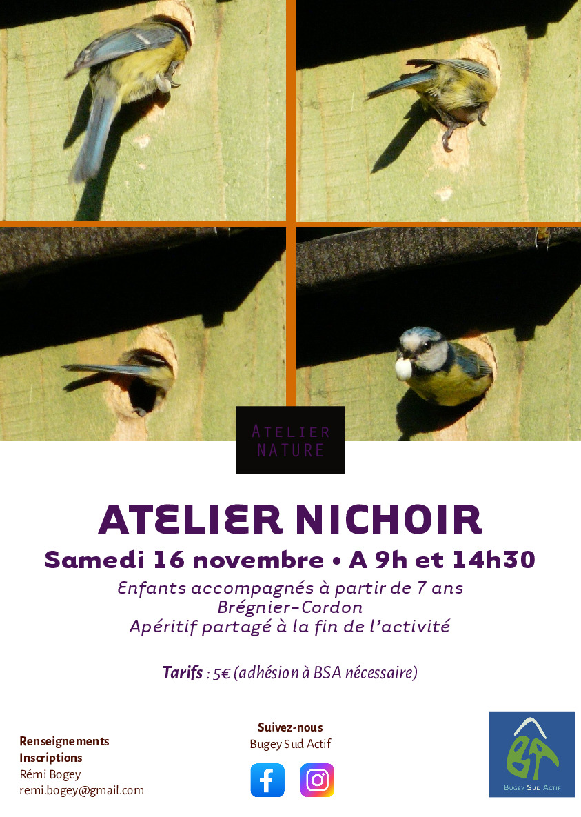 Atelier nichoir le samedi 16 novembre