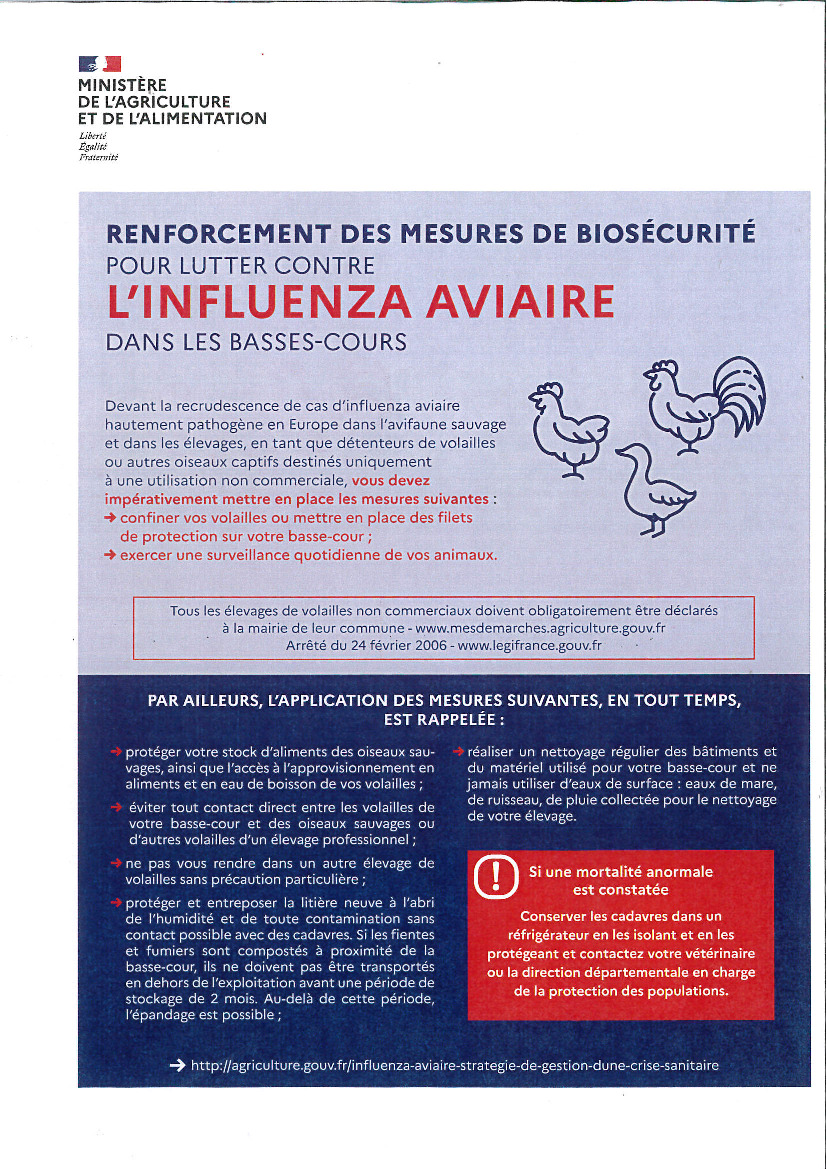 Influenza aviaire