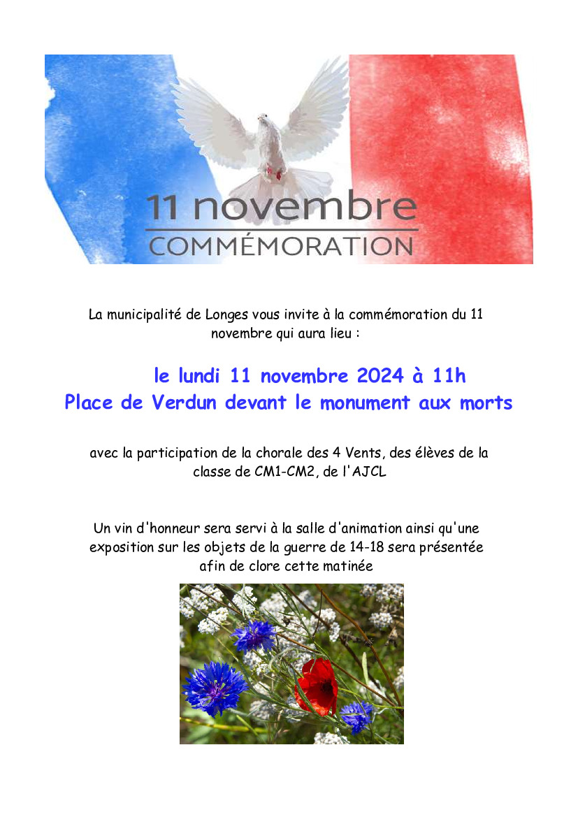 COMMEMORATION DU 11 NOVEMBRE