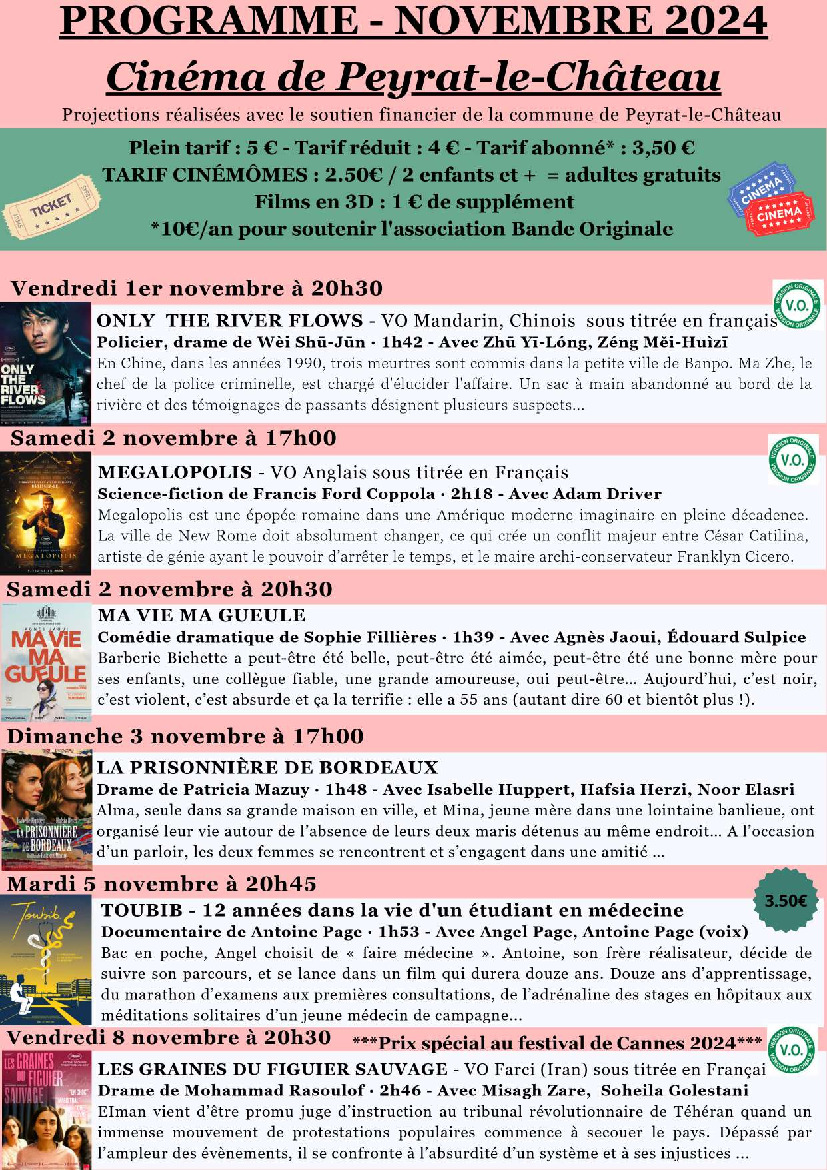 Programme cinéma Peyrat le Château