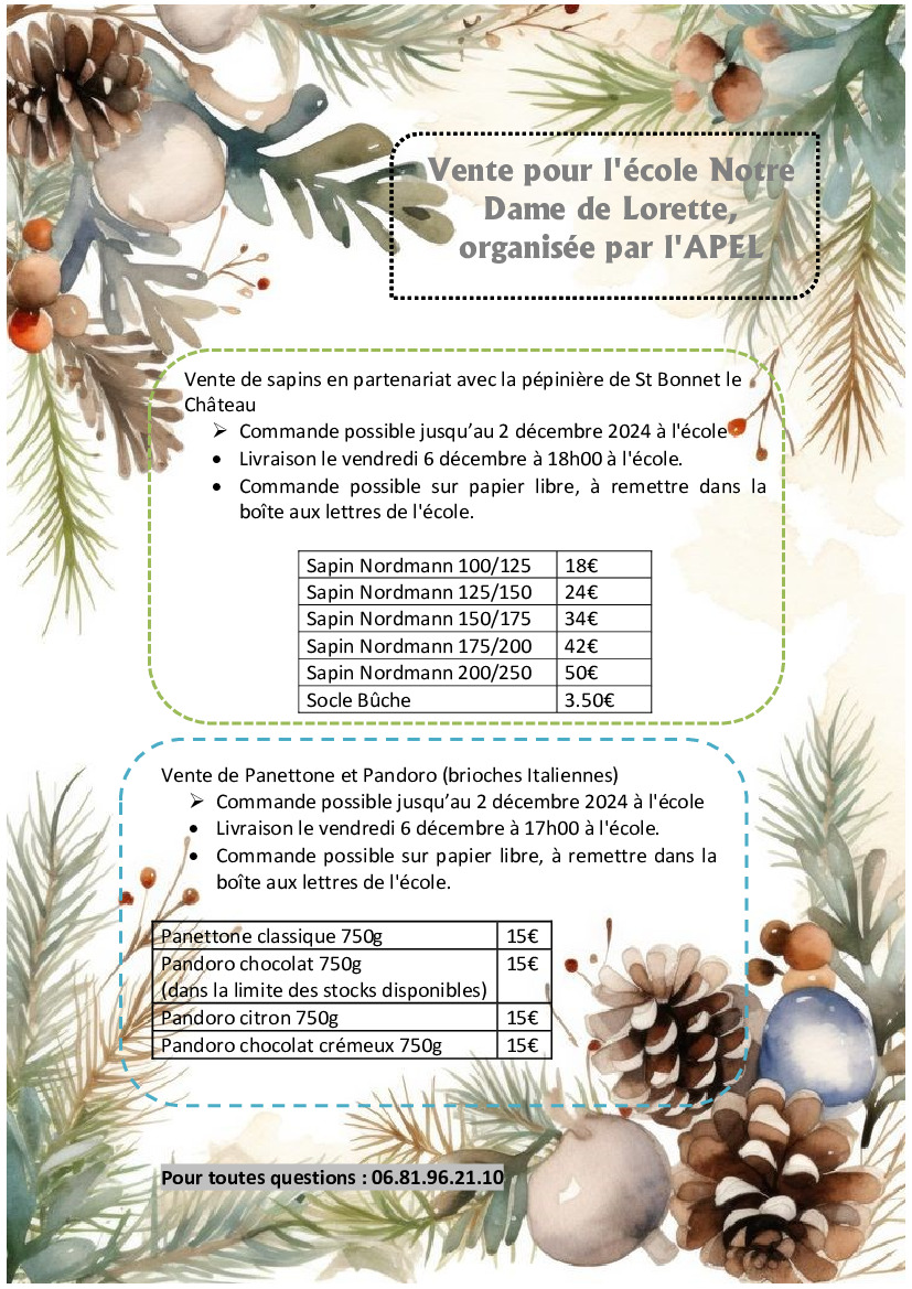 VENTE DE SAPINS DE NOEL et DE GATEAUX ITALIENS (panettones)