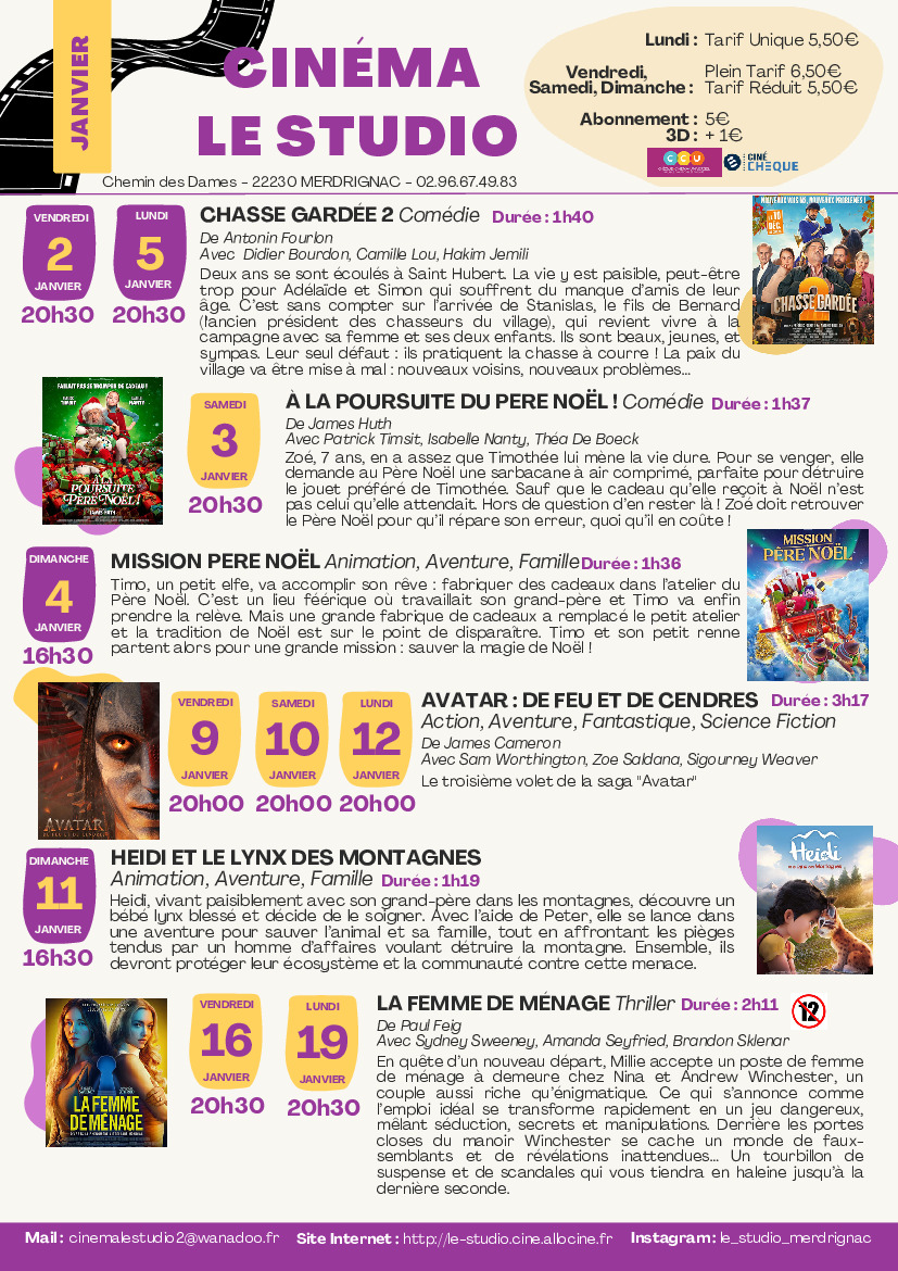 Calendrier Mural 2026 Classiques Du Cinéma - 30x60 Cm, Papier 140g, Multilingue, De Janvier à Décembre