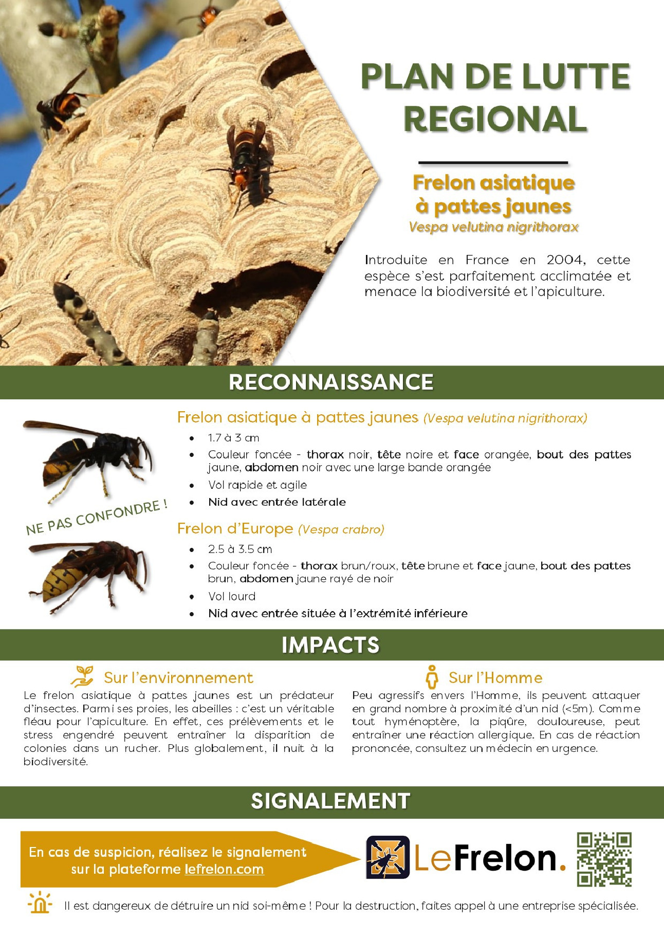 Plan de Lutte contre le Frelon asiatique