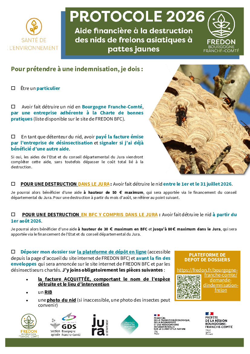 Destruction des nids de frelons asiatiques - Aide financière